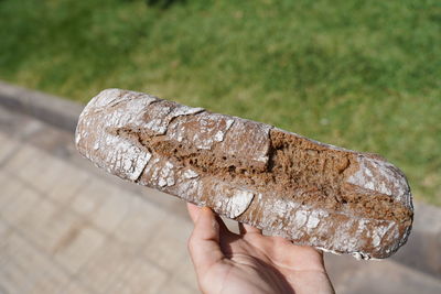 Close-up of hand holding ice cream