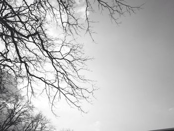 Low angle view of bare tree against clear sky