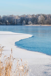 Wonderful winter landscape with frozen lake, reeds, forest with trees covered by frost and snow