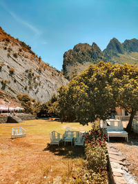 Plants and trees by mountains against sky