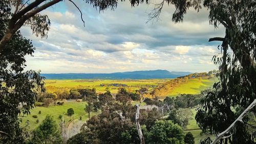 Scenic view of agricultural field against cloudy sky