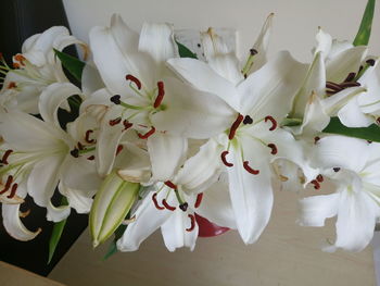 Close-up of white flowers