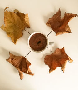 High angle view of maple leaf on table