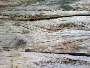 Full frame shot of tree stump