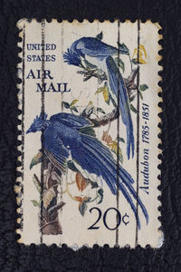 postage stamp