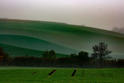 Scenic view of field against sky