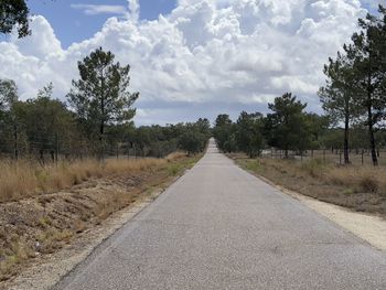 Road amidst trees against sky