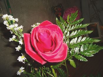 Close-up of rose bouquet