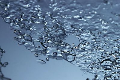 Close-up of water drops on leaf