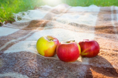 Fresh apples on a plaid in a garden, in the light of sunlight