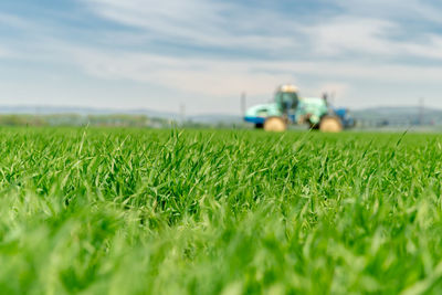 Surface level of agricultural field