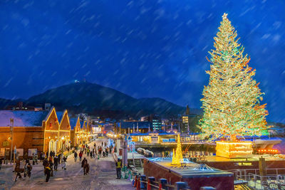 Illuminated christmas tree against sky at night