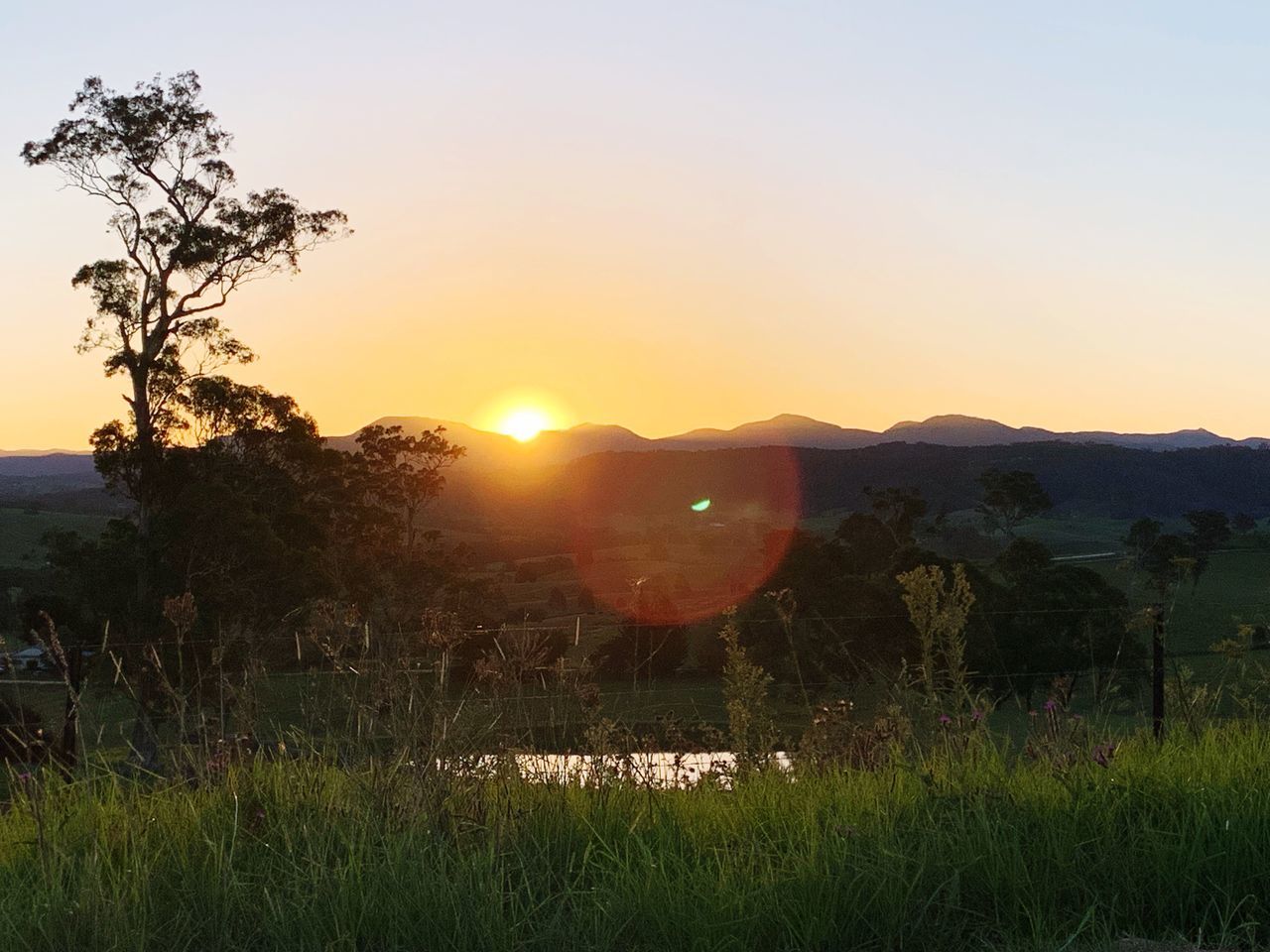 sky, sunset, beauty in nature, sun, plant, tranquil scene, scenics - nature, tranquility, sunlight, field, nature, mountain, grass, tree, land, environment, landscape, lens flare, no people, sunbeam, mountain range, outdoors, bright