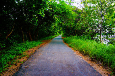 Road amidst trees in forest