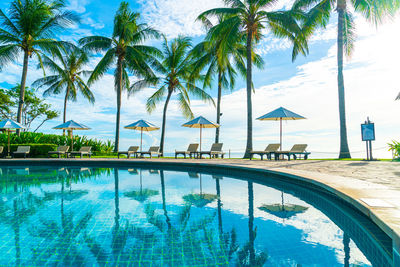 Scenic view of palm trees against sky