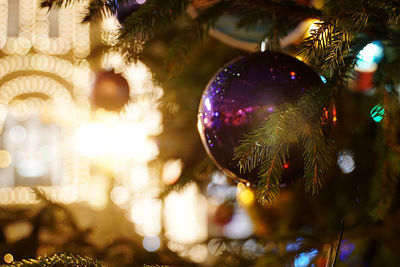 Close-up of illuminated christmas tree