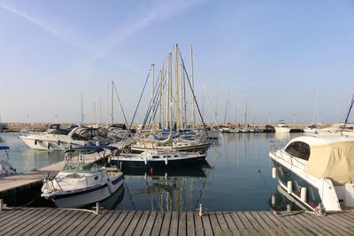 Sailboats moored at harbor against sky