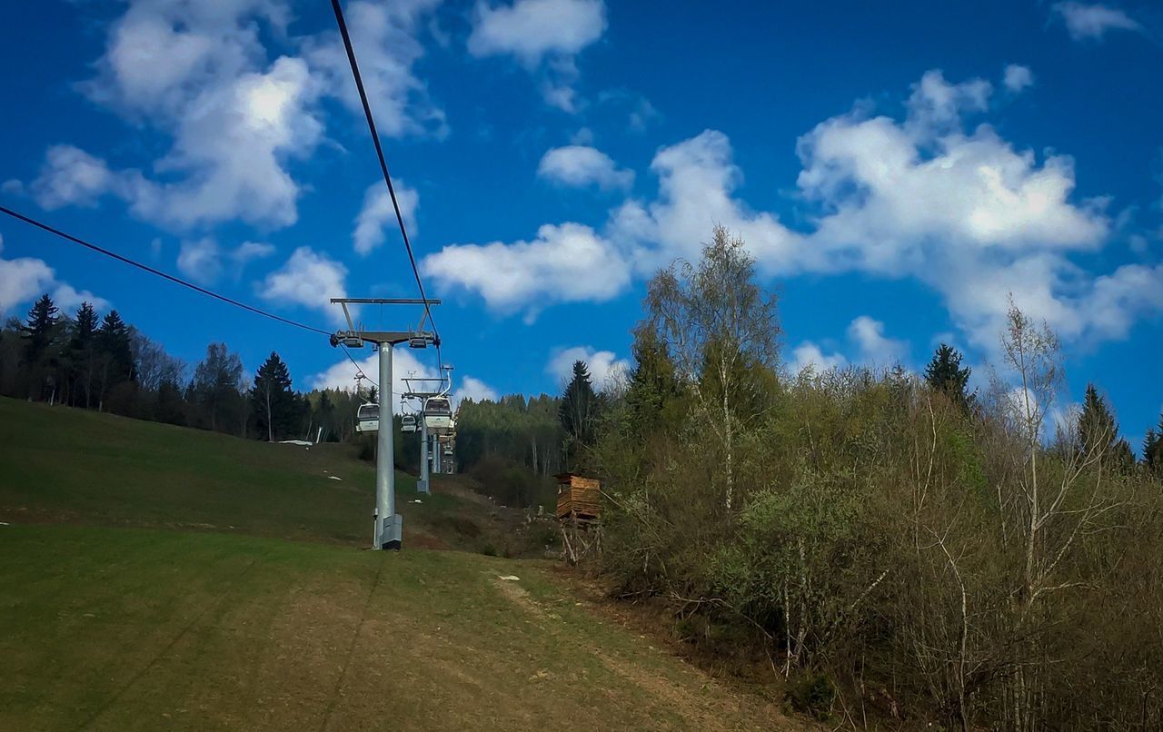 TREES ON LANDSCAPE AGAINST SKY