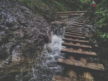 View of stairs along trees
