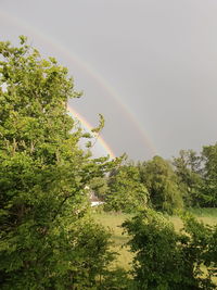 Scenic view of trees against rainbow in sky