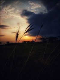 Silhouette landscape against sky during sunset