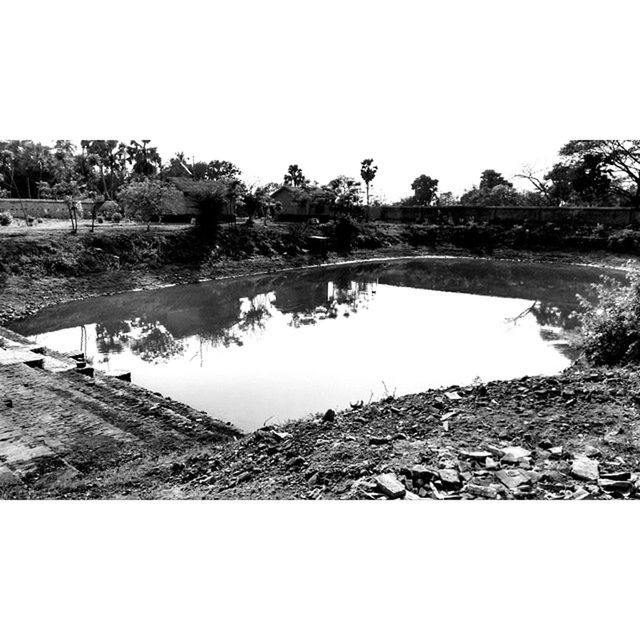 water, clear sky, tree, tranquility, tranquil scene, lake, copy space, nature, scenics, reflection, beauty in nature, river, day, grass, bird, outdoors, plant, lakeshore, animal themes, rock - object