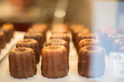 Close-up of chocolate cake