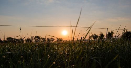 Scenic view of field against sky at sunset