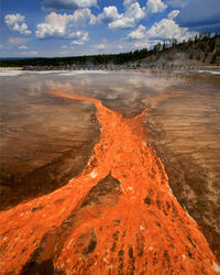 Yellowstone national park, usa