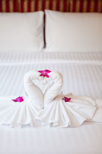 Close-up of white roses