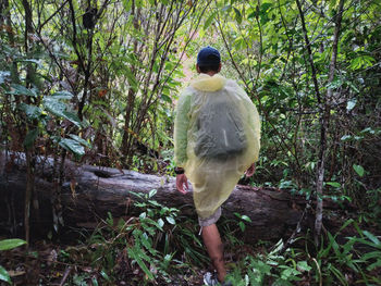 Rear view of man standing in forest