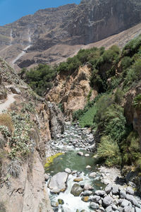 Scenic view of stream flowing through rocks