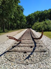 View of railroad tracks against trees