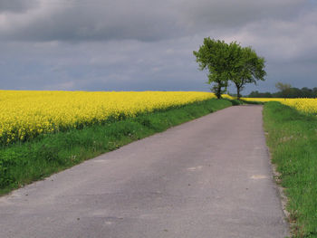 Scenic view of yellow field against sky