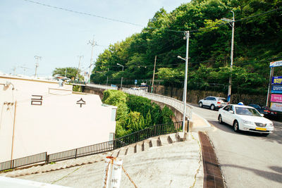 Cars on road by trees