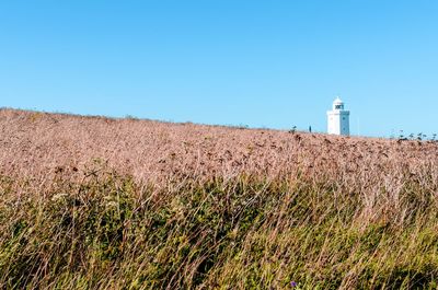 Low angle view of lighthouse on hill against clear sky