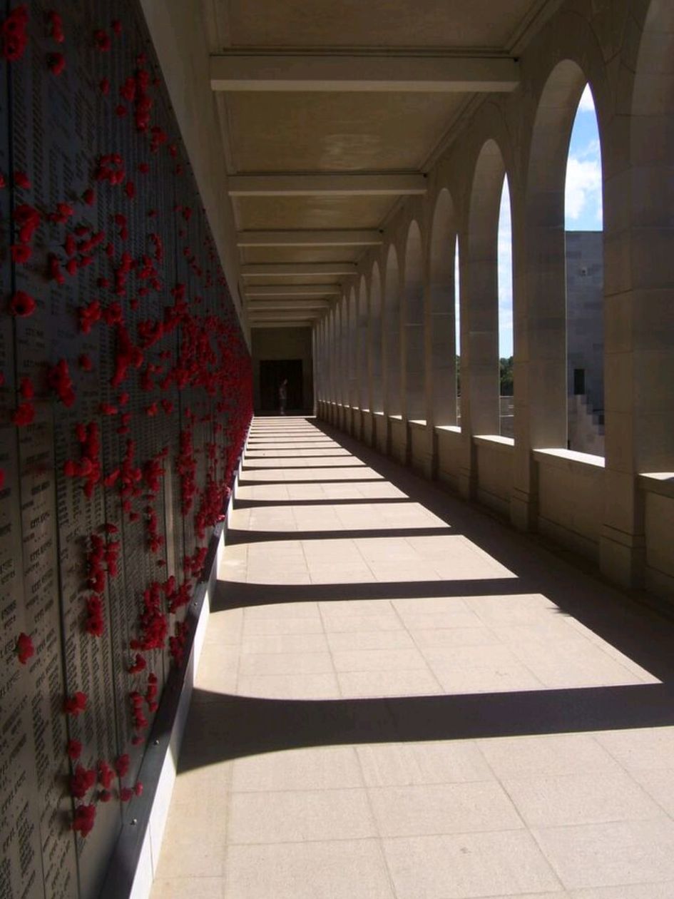 architecture, arch, built structure, direction, sunlight, arcade, the way forward, shadow, architectural column, no people, diminishing perspective, corridor, in a row, indoors, day, building, nature, footpath, flooring, colonnade, ceiling, tiled floor