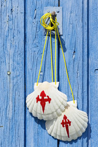 Close-up of pilgrim scallop shells on blue wooden door