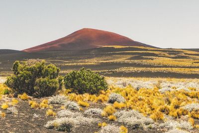 Scenic view of landscape against clear sky