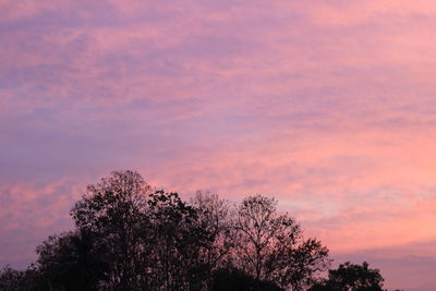 Low angle view of silhouette trees against sky during sunset