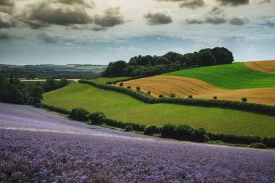 Scenic view of field against cloudy sky