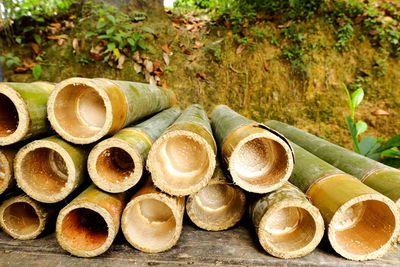 Stack of logs