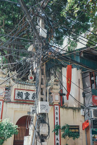 Low angle view of clothes hanging on tree