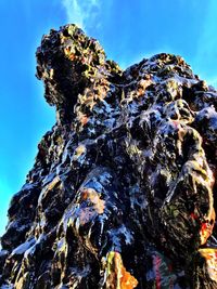 Low angle view of tree against blue sky