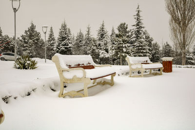 Snow covered plants and trees on field during winter