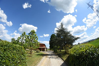 Footpath amidst trees against cloudy sky