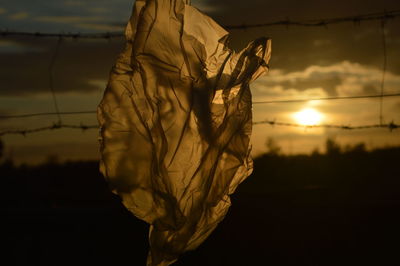 Close-up of clothing on field during sunset