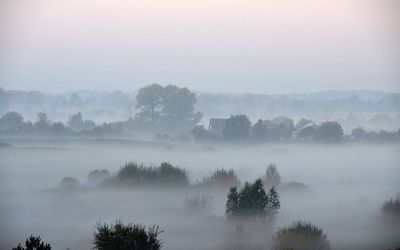 Trees on landscape against sky at foggy weather