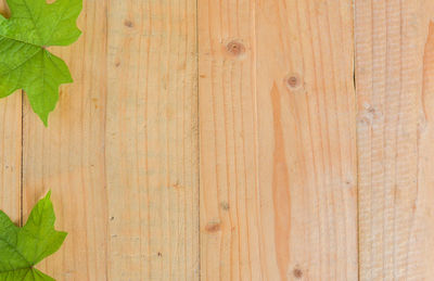 Directly above shot of leaves on wooden floor