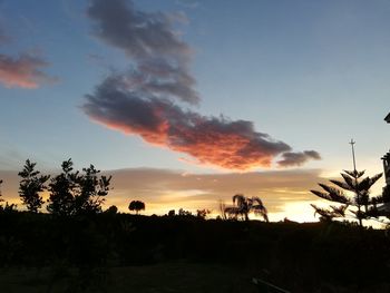 Silhouette trees on field against sky at sunset